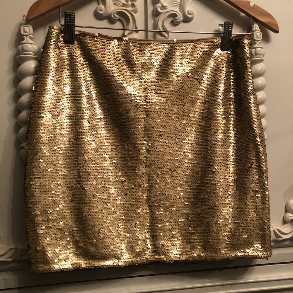 Sequin Skirt